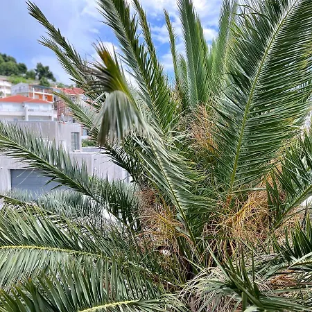 Villa Romana II Omiš Exteriér fotografie
