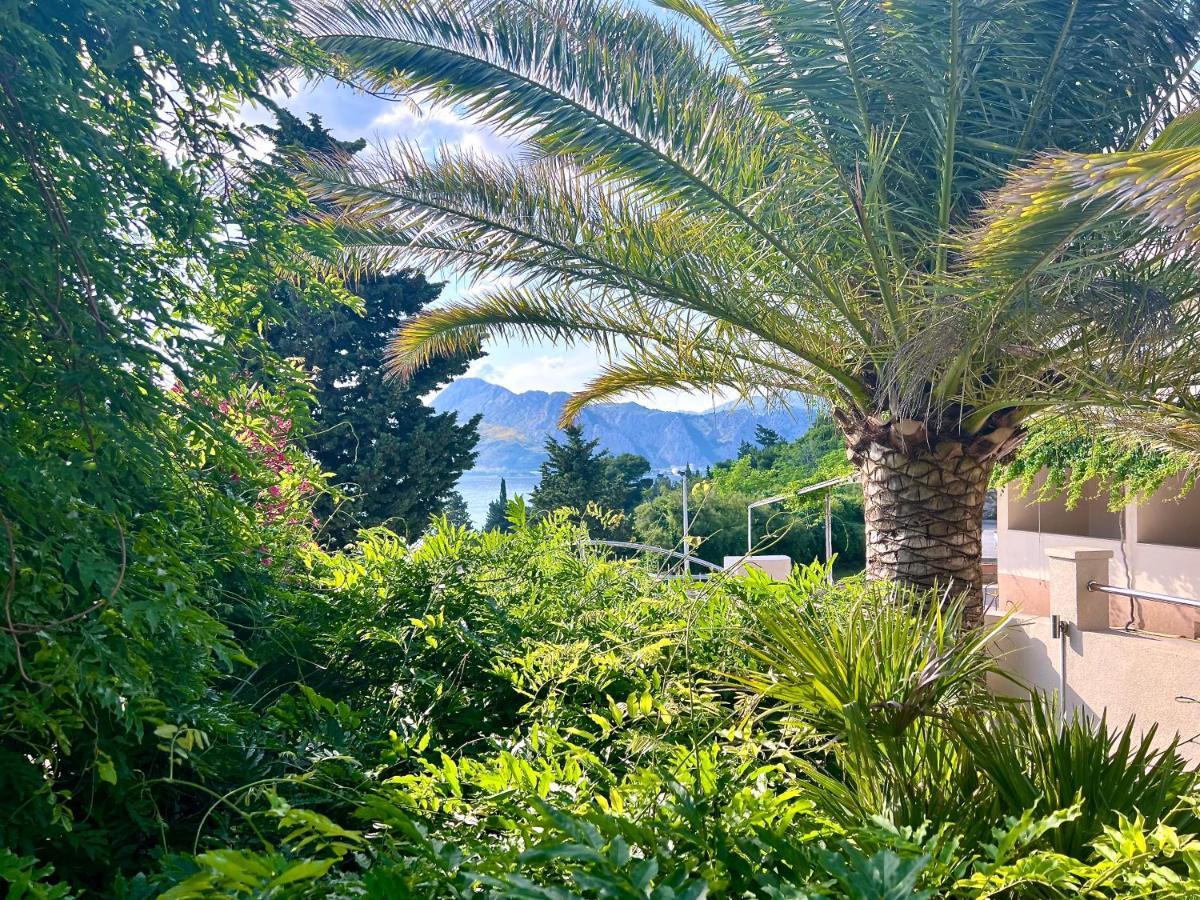 Apartment Romana Ii